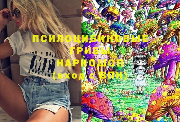 индика Богданович